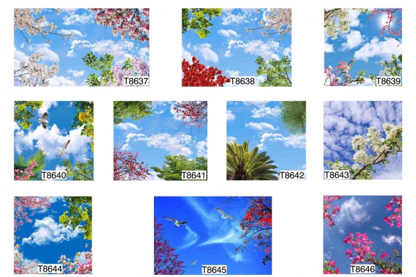 sky,art-album-rev-02-page-0181221733D-EDEC-4876-EF58-82A836B80281.jpg